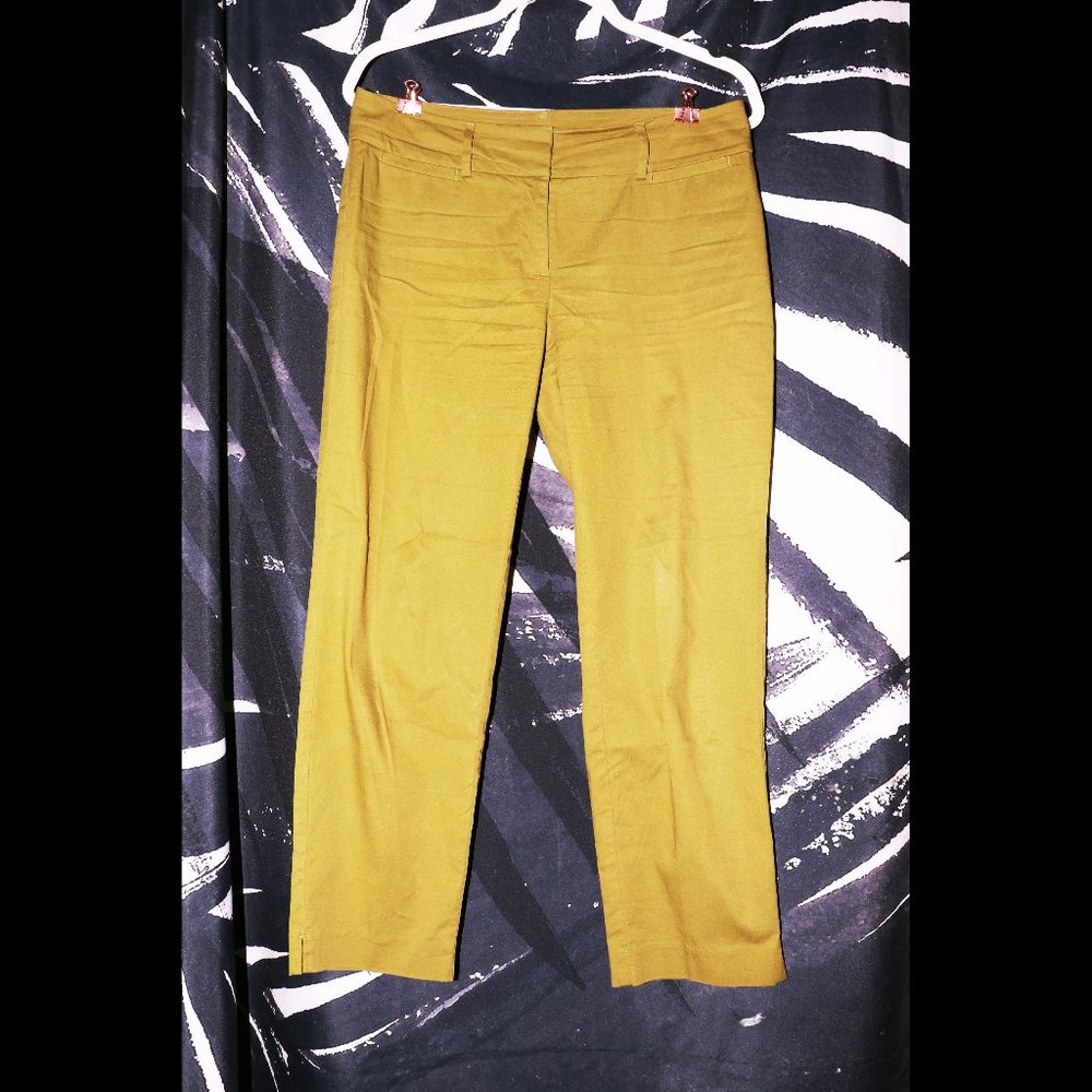 ANN TAYLOR SIZE 2 OLIVE PANTS